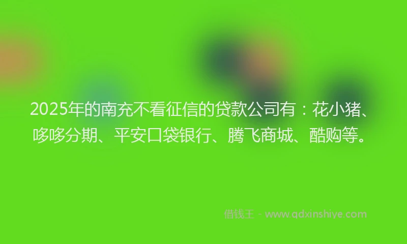 2025年的南充不看征信的贷款公司有：花小猪、哆哆分期、平安口袋银行、腾飞商城、酷购等。