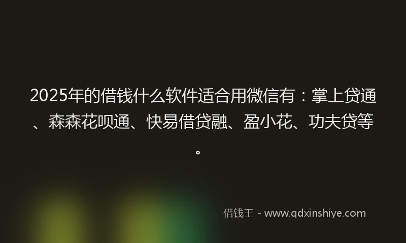 2025年的借钱什么软件适合用微信有：掌上贷通、森森花呗通、快易借贷融、盈小花、功夫贷等。