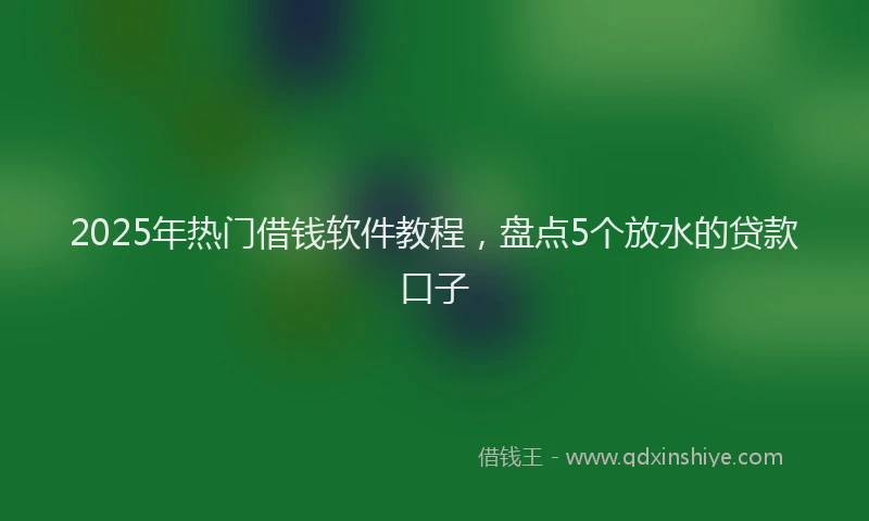 2025年热门借钱软件教程，盘点5个放水的贷款口子