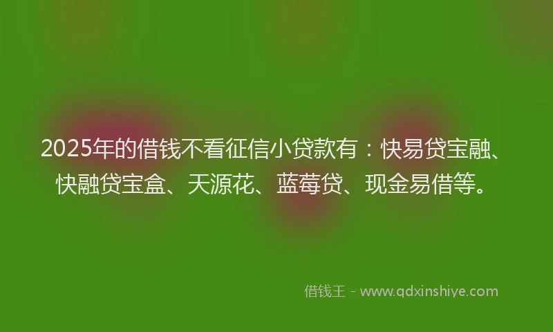 2025年的借钱不看征信小贷款有：快易贷宝融、快融贷宝盒、天源花、蓝莓贷、现金易借等。
