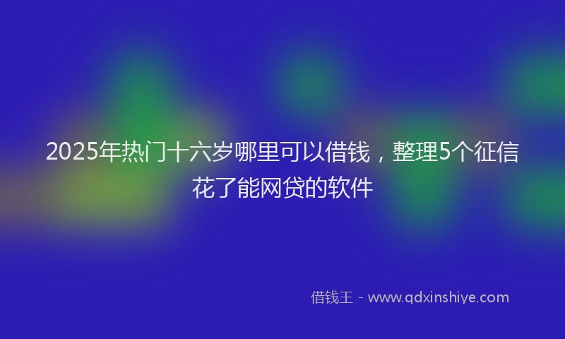 2025年热门十六岁哪里可以借钱，整理5个征信花了能网贷的软件