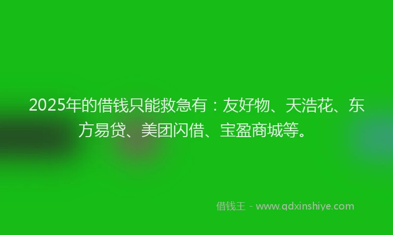 2025年的借钱只能救急有：友好物、天浩花、东方易贷、美团闪借、宝盈商城等。