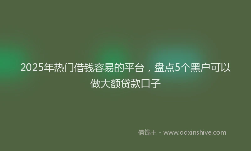 2025年热门借钱容易的平台，盘点5个黑户可以做大额贷款口子