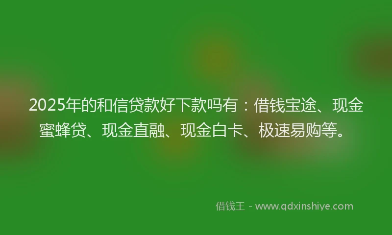 2025年的和信贷款好下款吗有：借钱宝途、现金蜜蜂贷、现金直融、现金白卡、极速易购等。