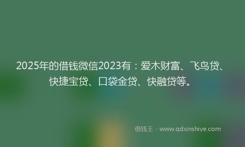 2025年的借钱微信2023有：爱木财富、飞鸟贷、快捷宝贷、口袋金贷、快融贷等。