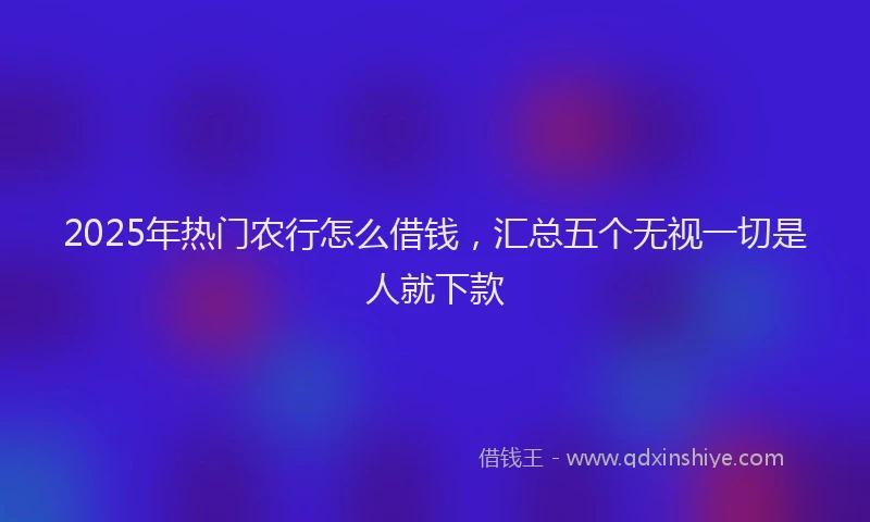 2025年热门农行怎么借钱，汇总五个无视一切是人就下款