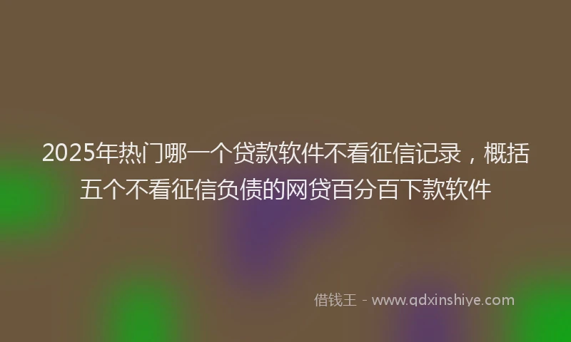 2025年热门哪一个贷款软件不看征信记录，概括五个不看征信负债的网贷百分百下款软件