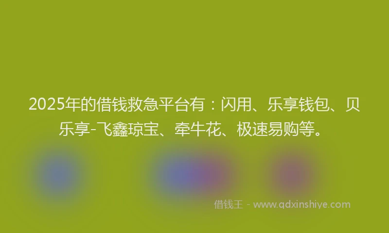 2025年的借钱救急平台有：闪用、乐享钱包、贝乐享-飞鑫琼宝、牵牛花、极速易购等。