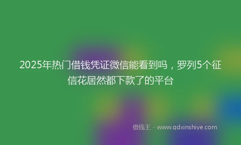 2025年热门借钱凭证微信能看到吗，罗列5个征信花居然都下款了的平台