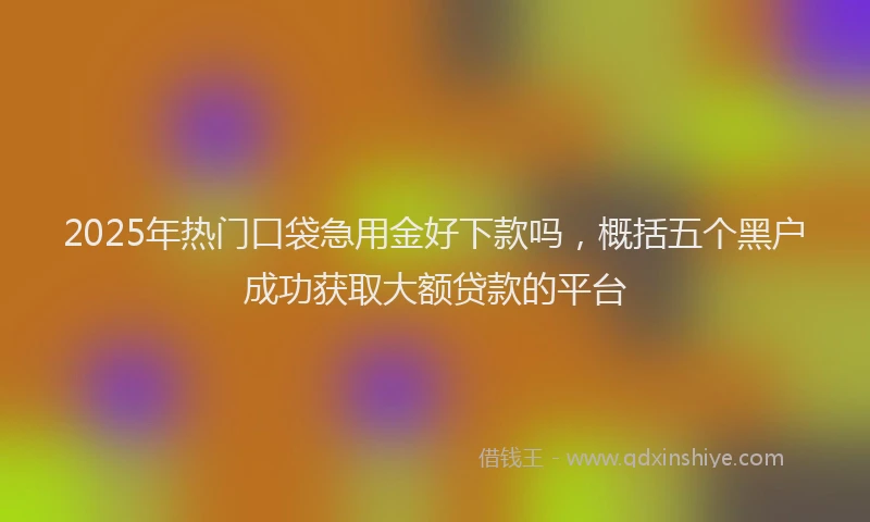 2025年热门口袋急用金好下款吗，概括五个黑户成功获取大额贷款的平台