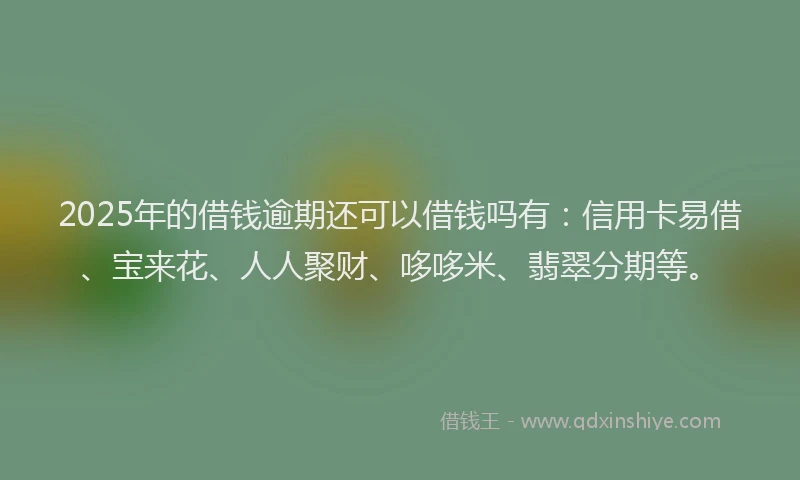 2025年的借钱逾期还可以借钱吗有：信用卡易借、宝来花、人人聚财、哆哆米、翡翠分期等。