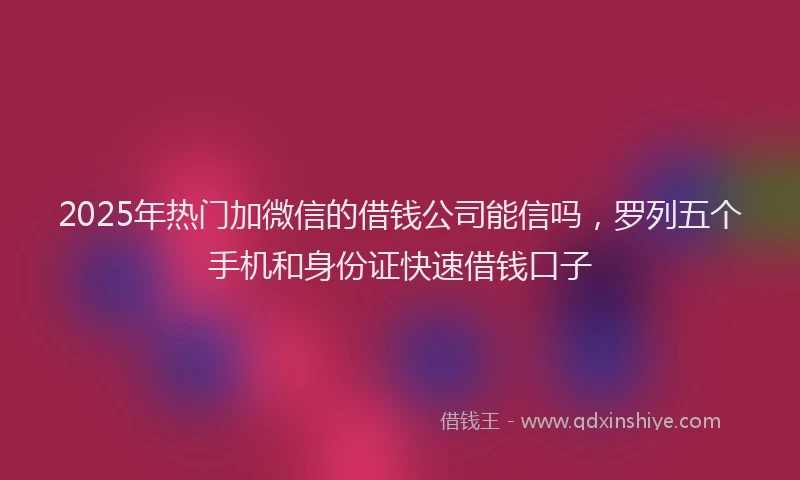 2025年热门加微信的借钱公司能信吗，罗列五个手机和身份证快速借钱口子
