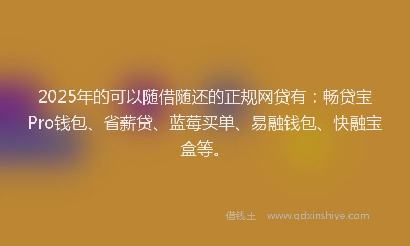 2025年的可以随借随还的正规网贷有：畅贷宝Pro钱包、省薪贷、蓝莓买单、易融钱包、快融宝盒等。