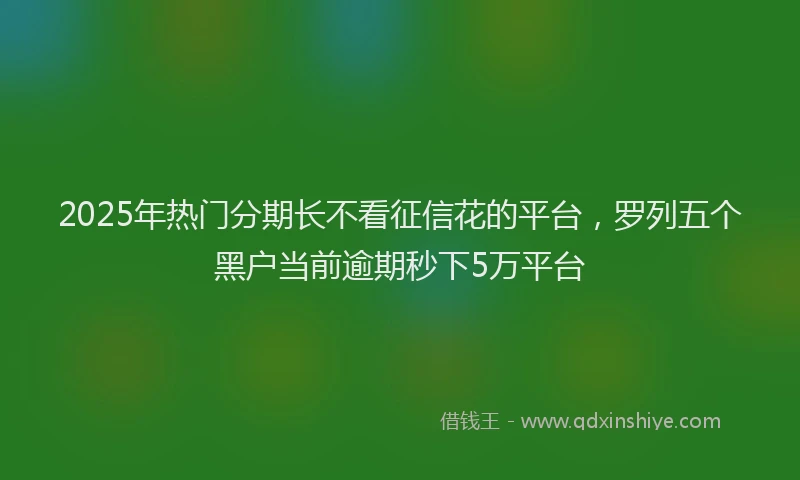 2025年热门分期长不看征信花的平台，罗列五个黑户当前逾期秒下5万平台