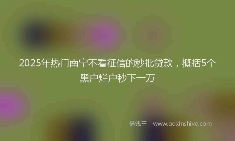2025年热门南宁不看征信的秒批贷款，概括5个黑户烂户秒下一万