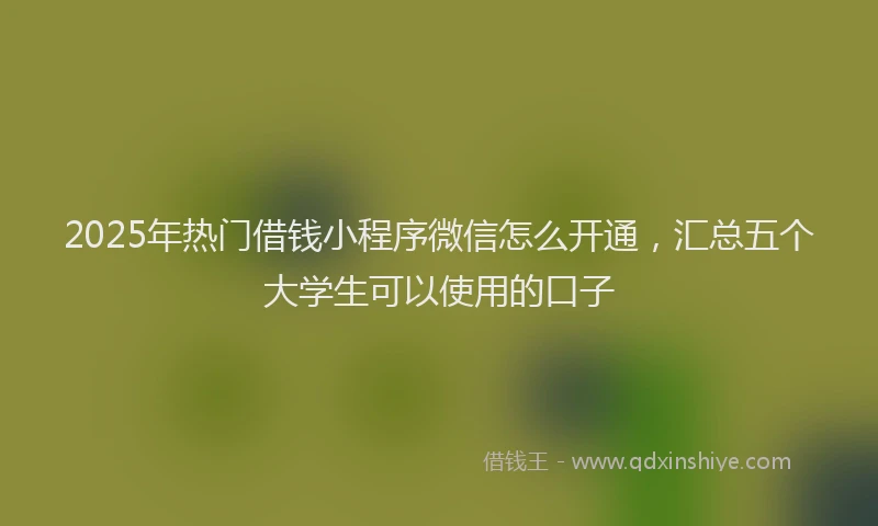 2025年热门借钱小程序微信怎么开通，汇总五个大学生可以使用的口子