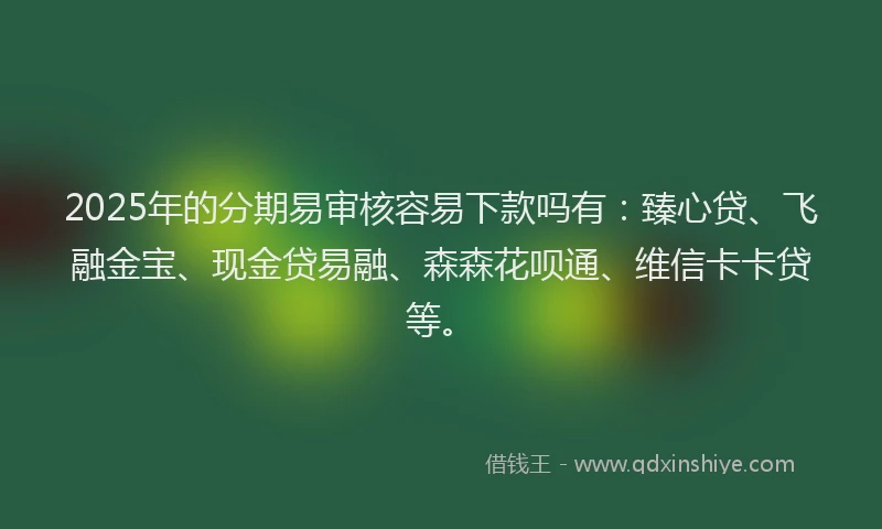 2025年的分期易审核容易下款吗有：臻心贷、飞融金宝、现金贷易融、森森花呗通、维信卡卡贷等。