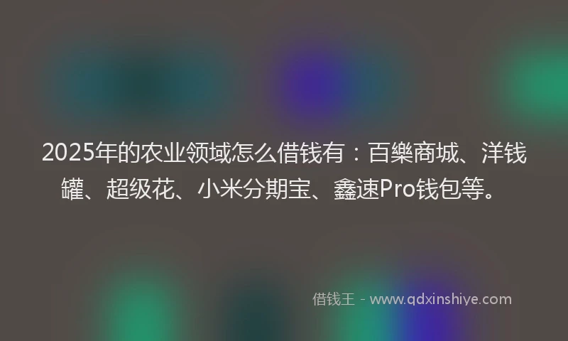 2025年的农业领域怎么借钱有：百樂商城、洋钱罐、超级花、小米分期宝、鑫速Pro钱包等。