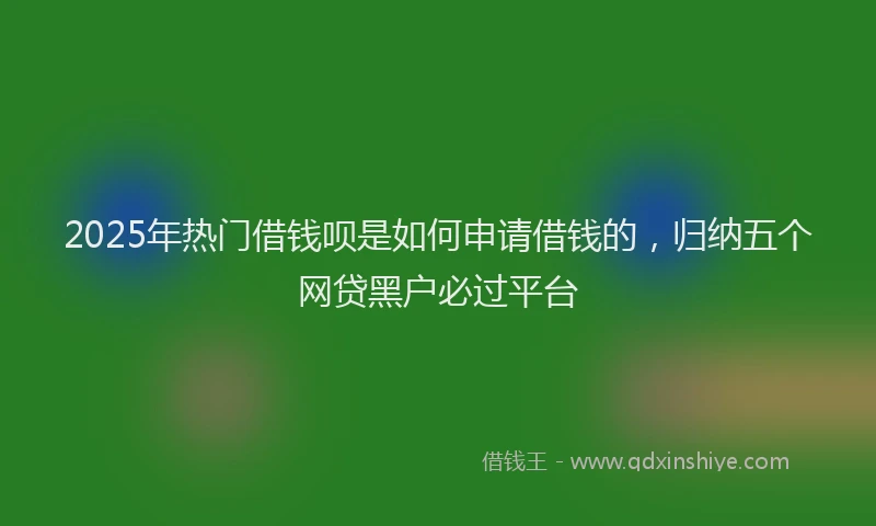 2025年热门借钱呗是如何申请借钱的，归纳五个网贷黑户必过平台