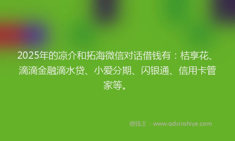 2025年的凉介和拓海微信对话借钱有：桔享花、滴滴金融滴水贷、小爱分期、闪银通、信用卡管家等。