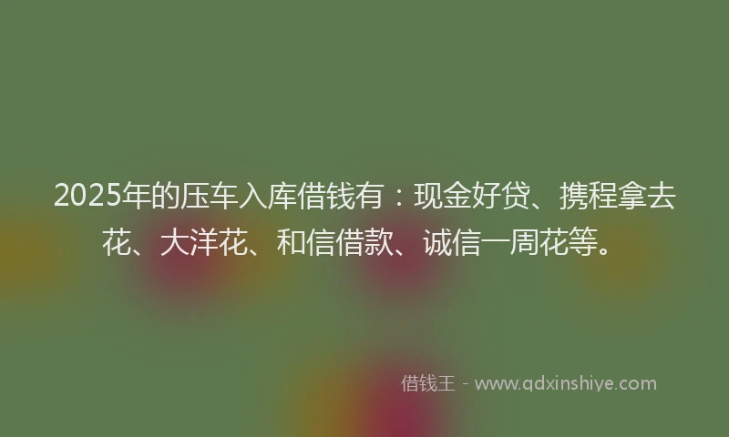 2025年的压车入库借钱有：现金好贷、携程拿去花、大洋花、和信借款、诚信一周花等。