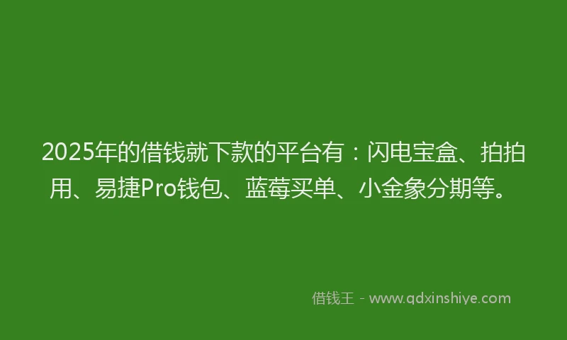 2025年的借钱就下款的平台有：闪电宝盒、拍拍用、易捷Pro钱包、蓝莓买单、小金象分期等。