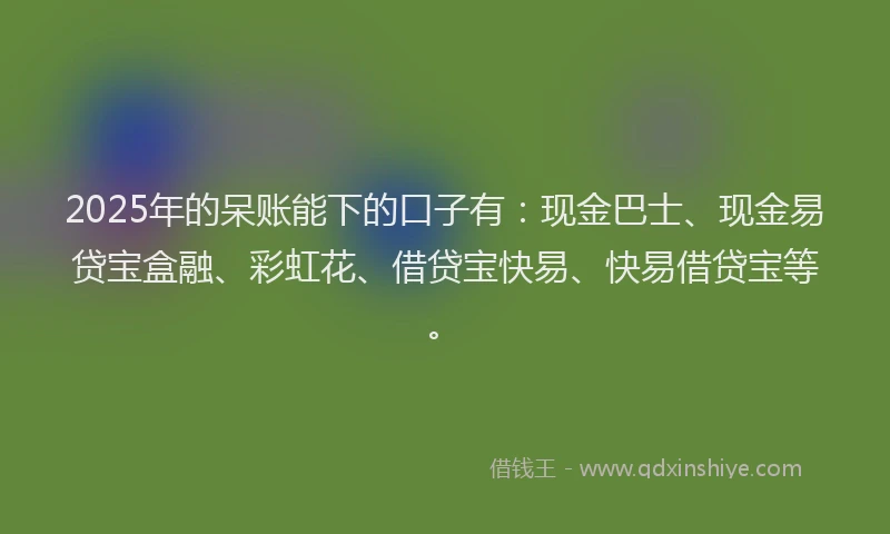 2025年的呆账能下的口子有：现金巴士、现金易贷宝盒融、彩虹花、借贷宝快易、快易借贷宝等。