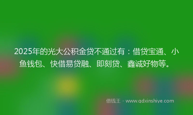 2025年的光大公积金贷不通过有：借贷宝通、小鱼钱包、快借易贷融、即刻贷、鑫诚好物等。