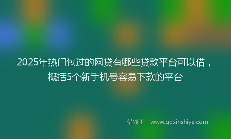 2025年热门包过的网贷有哪些贷款平台可以借，概括5个新手机号容易下款的平台