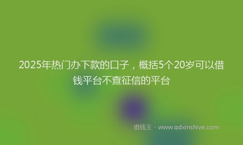 2025年热门办下款的口子，概括5个20岁可以借钱平台不查征信的平台