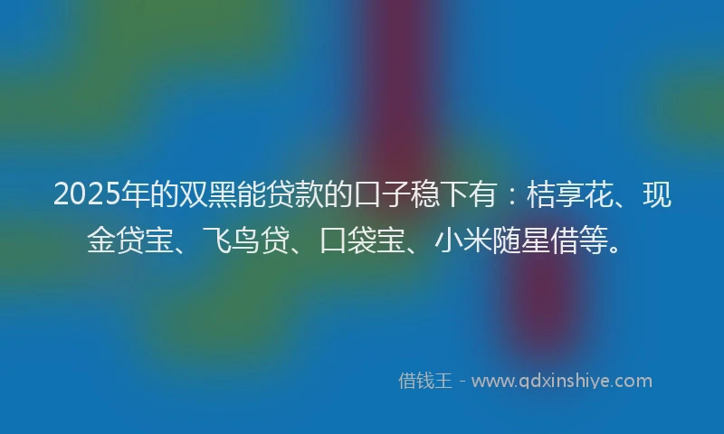 2025年的双黑能贷款的口子稳下有：桔享花、现金贷宝、飞鸟贷、口袋宝、小米随星借等。