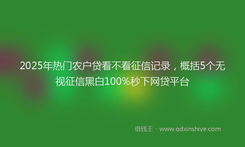 2025年热门农户贷看不看征信记录，概括5个无视征信黑白100%秒下网贷平台