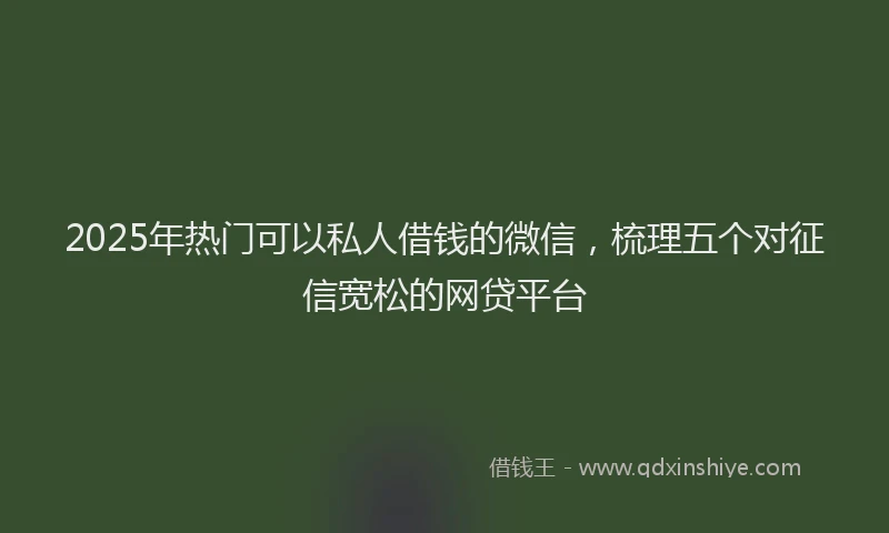 2025年热门可以私人借钱的微信，梳理五个对征信宽松的网贷平台