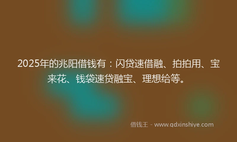 2025年的兆阳借钱有：闪贷速借融、拍拍用、宝来花、钱袋速贷融宝、理想给等。