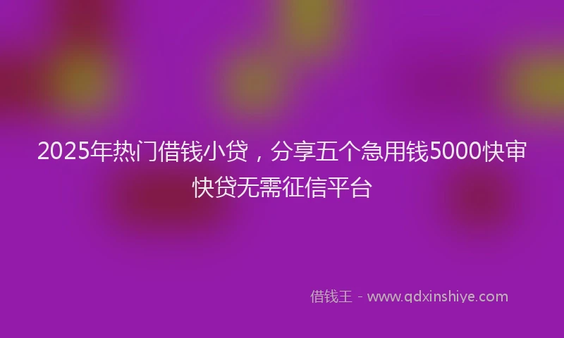 2025年热门借钱小贷，分享五个急用钱5000快审快贷无需征信平台