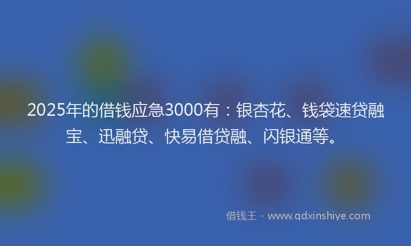 2025年的借钱应急3000有：银杏花、钱袋速贷融宝、迅融贷、快易借贷融、闪银通等。