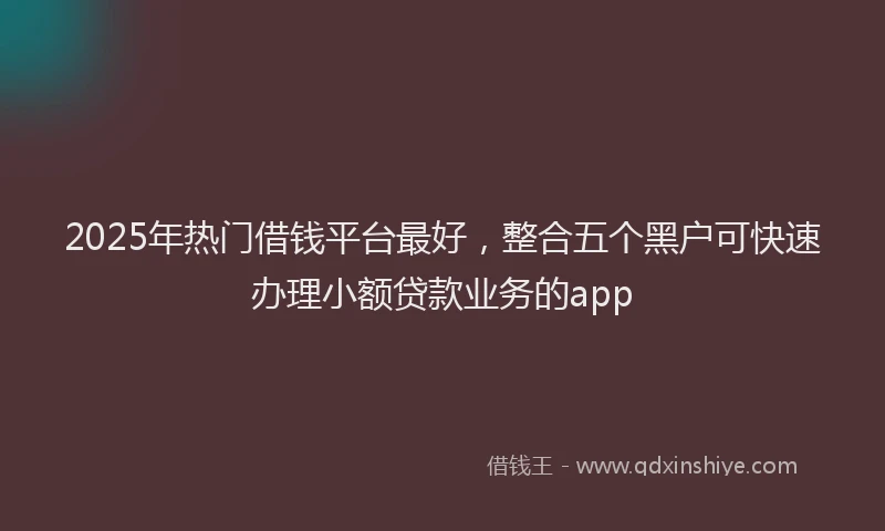 2025年热门借钱平台最好，整合五个黑户可快速办理小额贷款业务的app