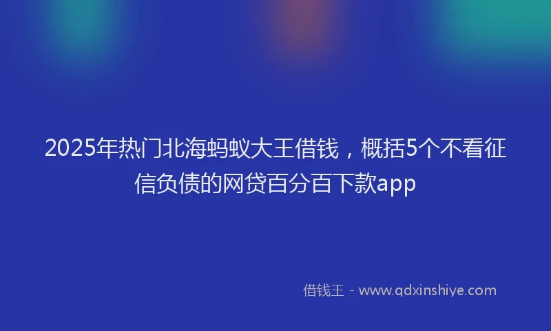 2025年热门北海蚂蚁大王借钱，概括5个不看征信负债的网贷百分百下款app