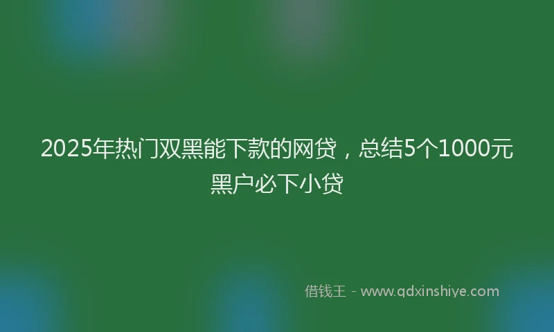 2025年热门双黑能下款的网贷，总结5个1000元黑户必下小贷