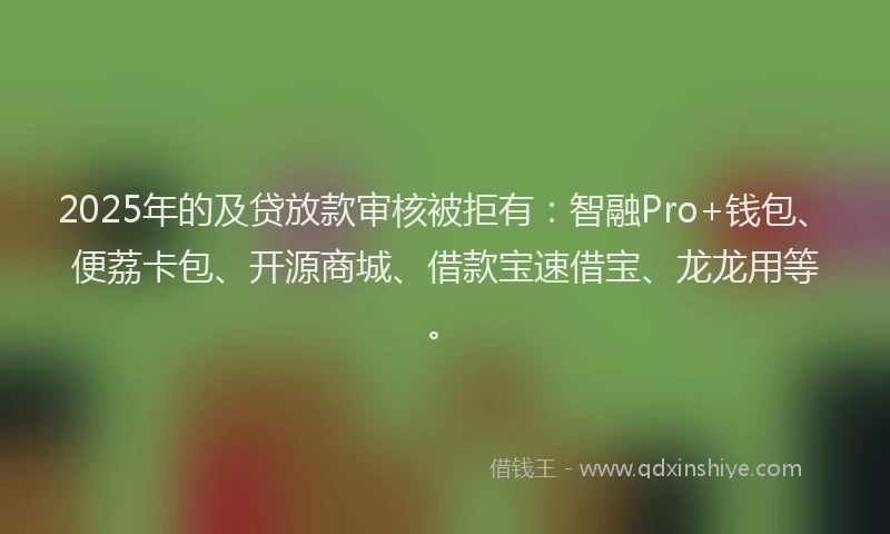 2025年的及贷放款审核被拒有：智融Pro+钱包、便荔卡包、开源商城、借款宝速借宝、龙龙用等。