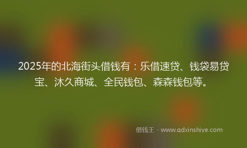 2025年的北海街头借钱有：乐借速贷、钱袋易贷宝、沐久商城、全民钱包、森森钱包等。