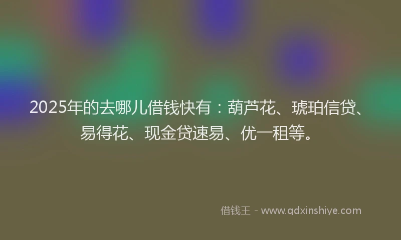 2025年的去哪儿借钱快有：葫芦花、琥珀信贷、易得花、现金贷速易、优一租等。