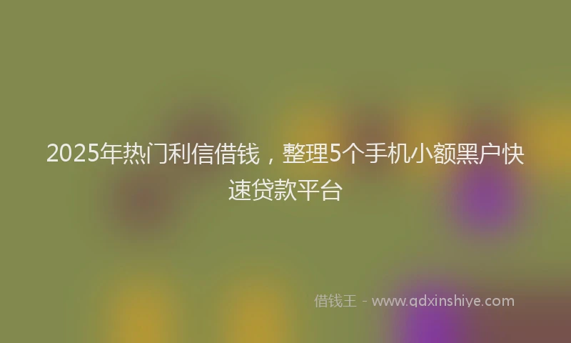 2025年热门利信借钱，整理5个手机小额黑户快速贷款平台