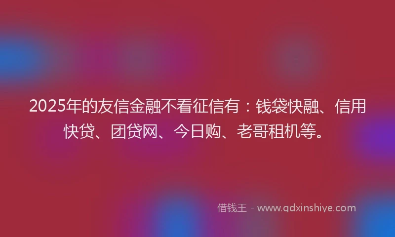 2025年的友信金融不看征信有：钱袋快融、信用快贷、团贷网、今日购、老哥租机等。