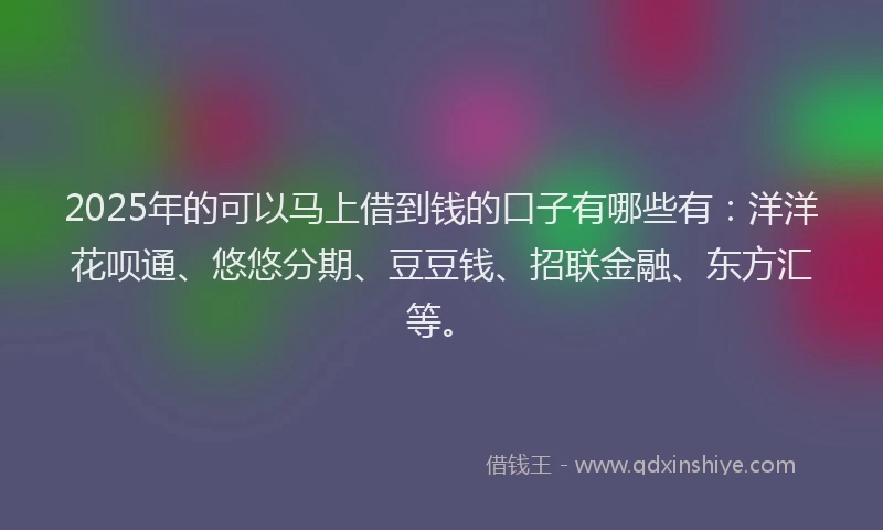 2025年的可以马上借到钱的口子有哪些有：洋洋花呗通、悠悠分期、豆豆钱、招联金融、东方汇等。