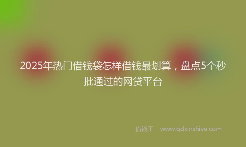 2025年热门借钱袋怎样借钱最划算，盘点5个秒批通过的网贷平台