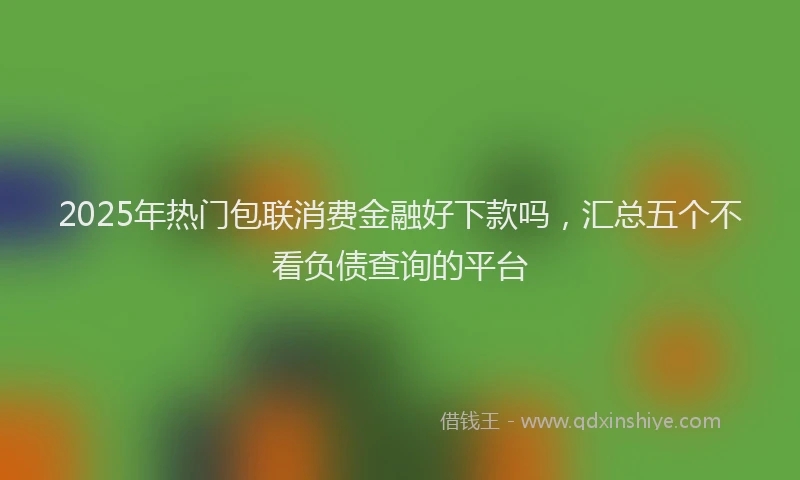 2025年热门包联消费金融好下款吗，汇总五个不看负债查询的平台