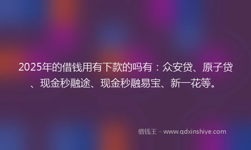 2025年的借钱用有下款的吗有：众安贷、原子贷、现金秒融途、现金秒融易宝、新一花等。