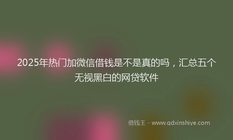 2025年热门加微信借钱是不是真的吗，汇总五个无视黑白的网贷软件