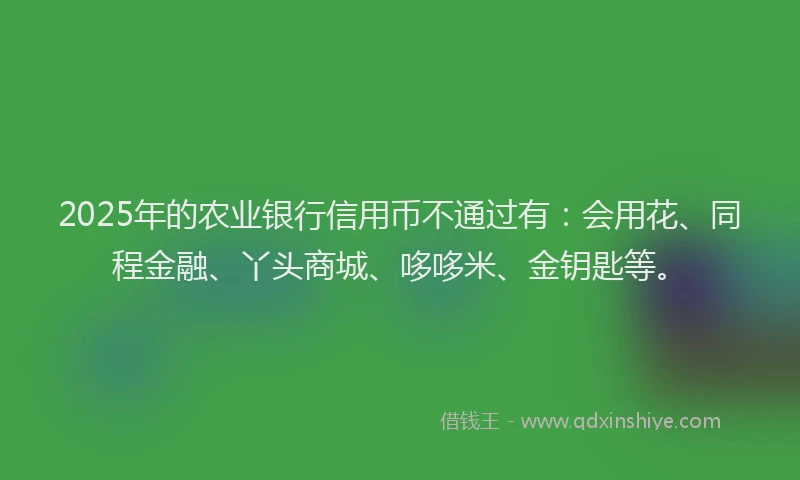 2025年的农业银行信用币不通过有：会用花、同程金融、丫头商城、哆哆米、金钥匙等。
